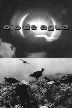 Ojo de Agua's poster image