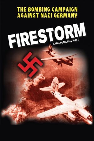 Firestorm's poster