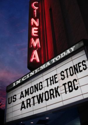 Us Among the Stones's poster