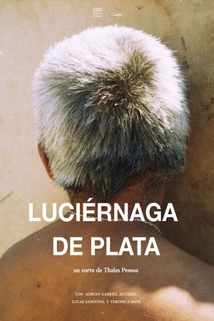 Luciérnaga de Plata's poster