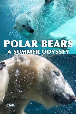 Polar Bears: A Summer Odyssey's poster