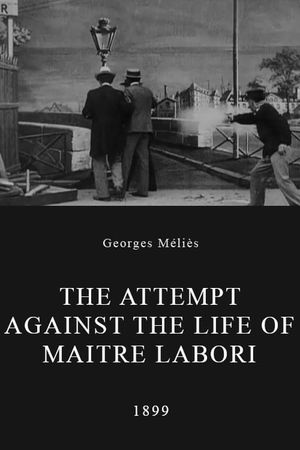 The Attempt Against the Life of Maitre Labori's poster