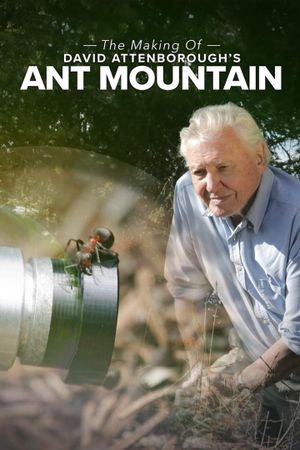 The Making of David Attenborough's Ant Mountain's poster