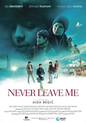 Never Leave Me's poster image
