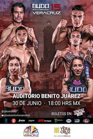 Budo Sento Championship 15's poster