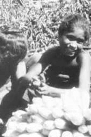 Bali - Flores Cultural Ethnological Film About the Lesser Sunda Islands's poster