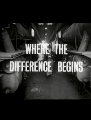 Where the Difference Begins's poster