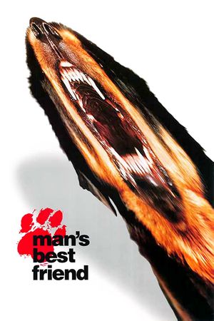 Man's Best Friend's poster