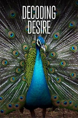 Decoding Desire's poster