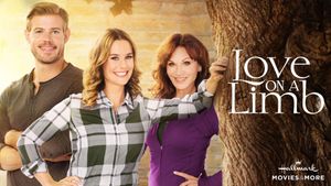 Love on a Limb's poster