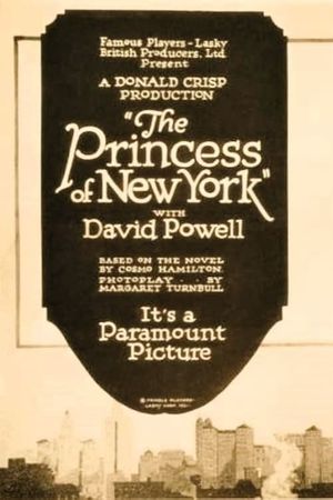 The Princess of New York's poster