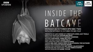 Inside the Bat Cave's poster