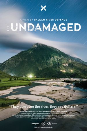 The Undamaged's poster