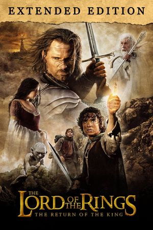 The Lord of the Rings: The Return of the King's poster