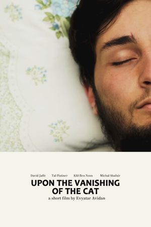 Upon the Vanishing of the Cat's poster