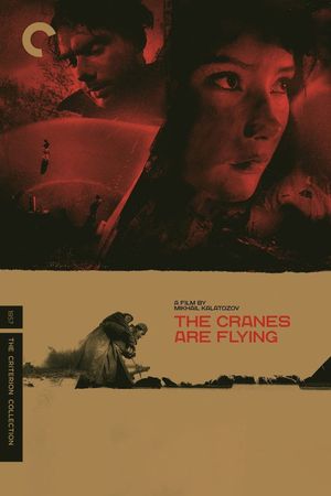 The Cranes Are Flying's poster