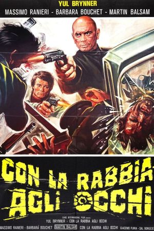 Death Rage's poster