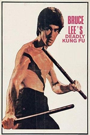 Bruce Lee's Deadly Kung Fu's poster