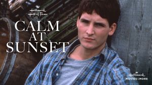 Calm at Sunset's poster