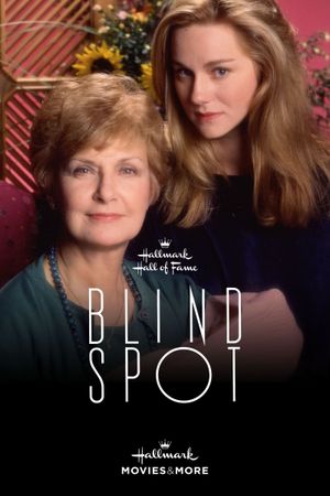 Blind Spot's poster