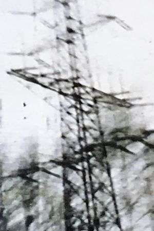 NOVEMBRE's poster image