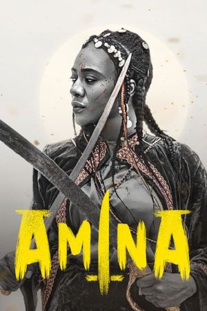 Amina's poster
