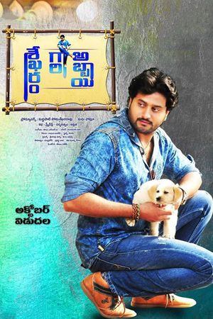 Sekharam Gari Abbayi's poster
