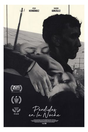 Lost in the Night's poster