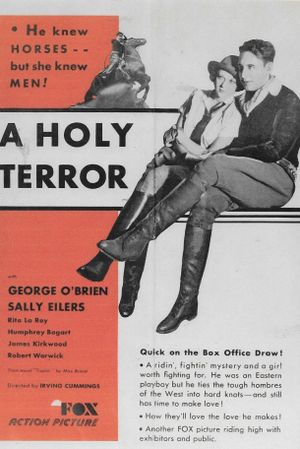 A Holy Terror's poster