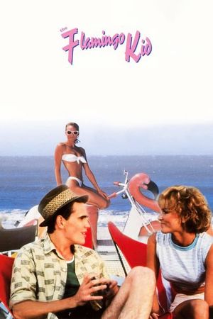 The Flamingo Kid's poster