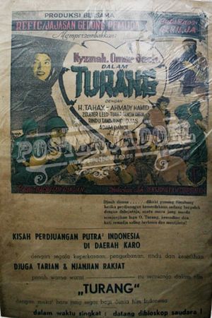 Turang's poster image