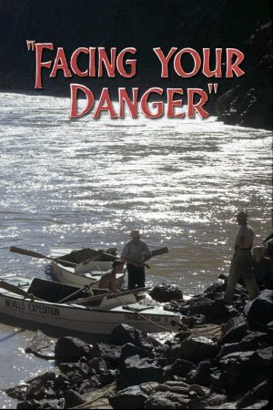 Facing Your Danger's poster