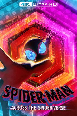 Spider-Man: Across the Spider-Verse's poster