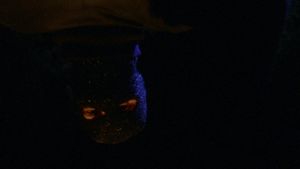 Prom Night's poster