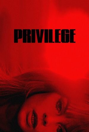 Privilege's poster