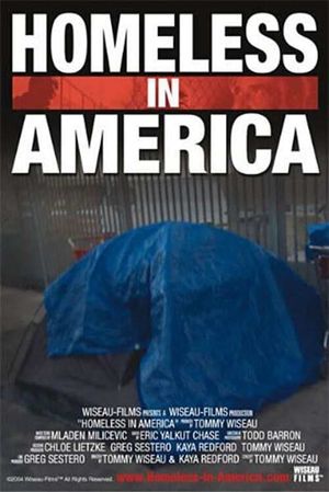 Homeless in America's poster