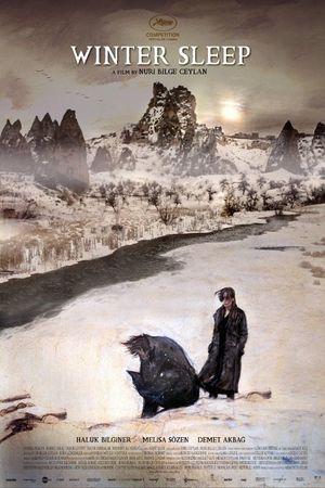 Winter Sleep's poster