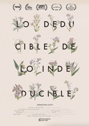 Lo deducible de lo indeducible's poster