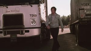 Trucker's Woman's poster