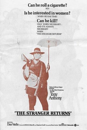 The Stranger Returns's poster