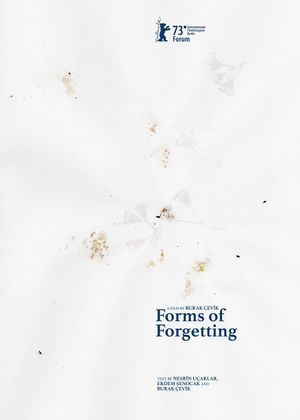Forms of Forgetting's poster