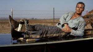 Cool Hand Luke's poster