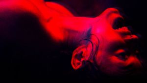 We Are the Flesh's poster