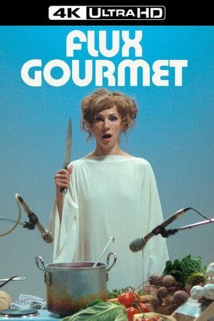 Flux Gourmet's poster