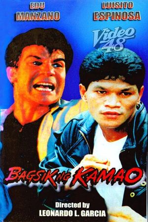 Bagsik ng kamao's poster