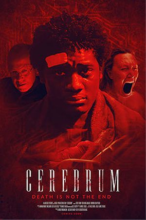 Cerebrum's poster