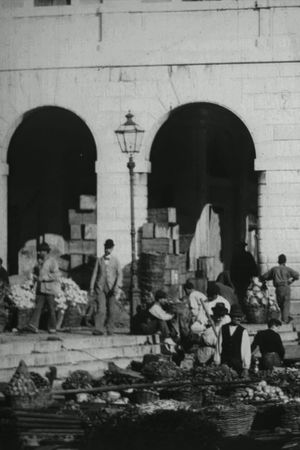 Panoramic View of the Vegetable Market at Venice's poster