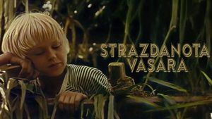 Strazdanota vasara's poster