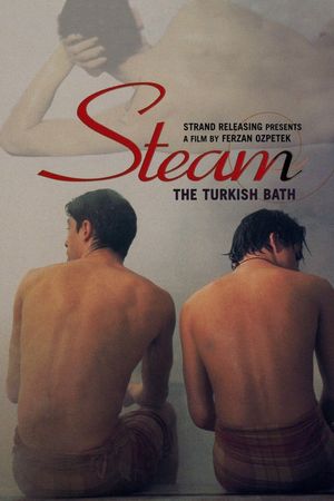 Steam: The Turkish Bath's poster