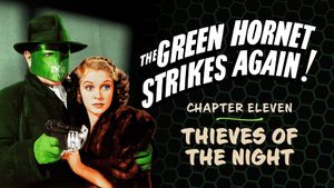 The Green Hornet Strikes Again!'s poster